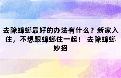 去除蟑螂最好的办法有什么？新家入住，不想跟蟑螂住一起！ 去除蟑螂妙招